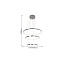 Светильник подвесной Favourite GIRO 2314-18P 95Вт LED