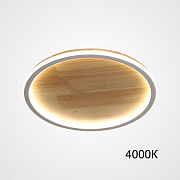 Светильник потолочный ImperiumLOFT Dolan 223951-23 46Вт LED