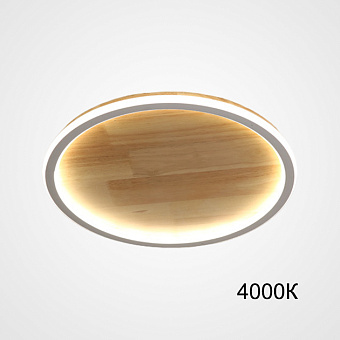 Светильник потолочный ImperiumLOFT Dolan 223951-23 46Вт LED