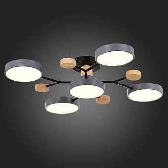 Светильник потолочный Evoluce FAEMA SLE6006-702-05 60Вт LED