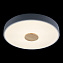 Светильник потолочный Loft It Axel 10003/24 Grey 24Вт LED