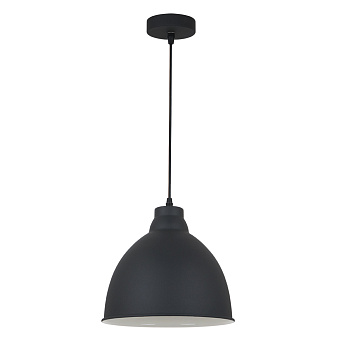 Светильник подвесной Arte Lamp BRACCIO A2055SP-1BK 60Вт E27