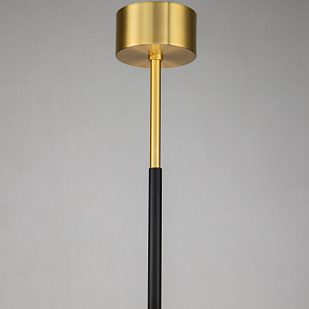 Люстра подвесная Favourite Maximo 2623-12P 480Вт 12 лампочек E14