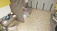 Виниловый ламинат Alpine Floor Сонома ECO 20-7 555х127х2,5мм 43 класс 1,97кв.м