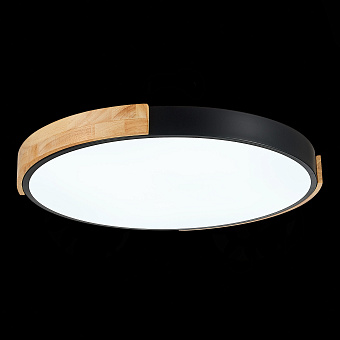 Светильник потолочный Evoluce DELIA SLE201342-01 40Вт LED