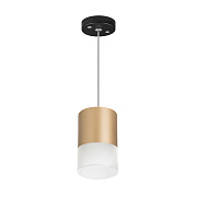 Светильник настенно-потолочный Lightstar Rullo RP349081 15Вт GX 5.3
