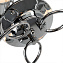Люстра потолочная Arte Lamp PENNY A2701PL-6CC 60Вт 6 лампочек E27