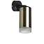 Светильник настенно-потолочный Lightstar Rullo RB431430 50Вт GU10