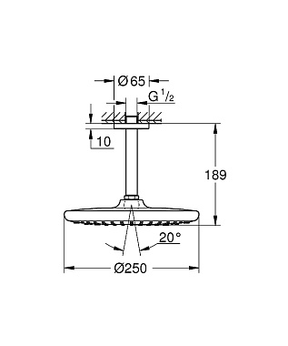 Верхний душ GROHE Tempesta 250 26669000 белый/хром