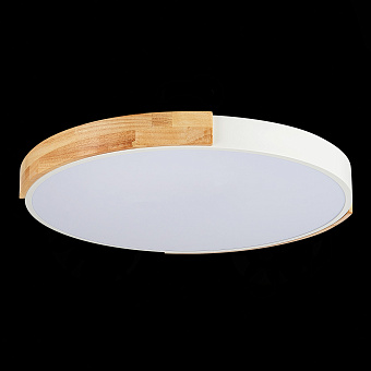 Светильник потолочный Evoluce DELIA SLE201352-01 40Вт LED