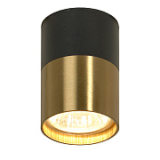 Светильник потолочный Lussole GILBERT LSP-8555 50Вт GU10