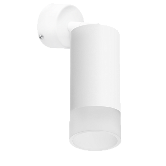 Светильник настенно-потолочный Lightstar Rullo RB43631 50Вт GU10