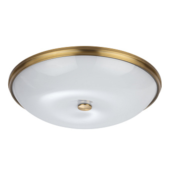 Светильник настенно-потолочный Odeon WALLI 4956/6 240Вт E14