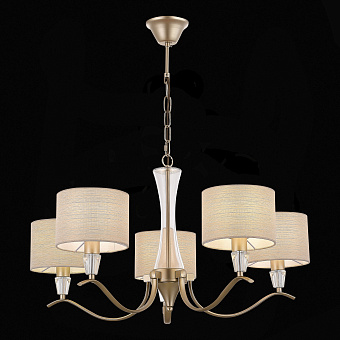 Светильник подвесной Evoluce CASSIA SLE1126-203-05 200Вт E14