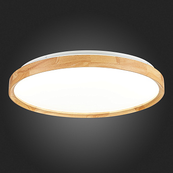 Светильник потолочный Evoluce DELIA SLE201382-01 40Вт LED