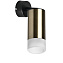 Светильник настенно-потолочный Lightstar Rullo RB43131 50Вт GU10