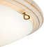 Светильник настенно-потолочный Sonex PROVENCE 7605/DL 48Вт LED