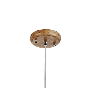 Светильник подвесной Favourite Pendenti 2014-1P 5Вт G9 LED
