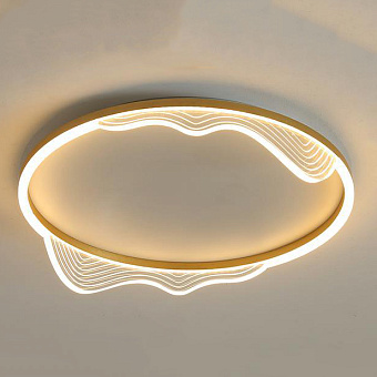 Светильник потолочный ImperiumLOFT Izelin 223811-23 38Вт LED