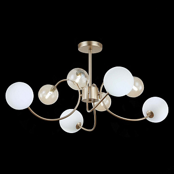 Светильник потолочный Evoluce FORMAE SLE220922-08 40Вт G9