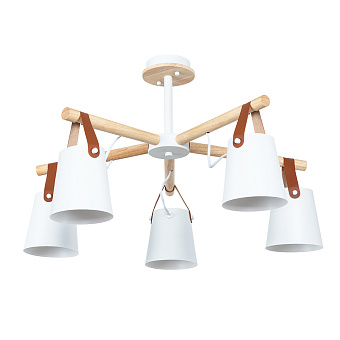 Люстра потолочная Arte Lamp THOMAS A7032PL-5WH 60Вт 5 лампочек E27