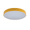 Светильник потолочный Loft It Axel 10002/24 Yellow 24Вт LED