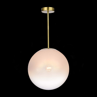 Светильник потолочный ST Luce CASSIUS SL1190.212.01 60Вт E27