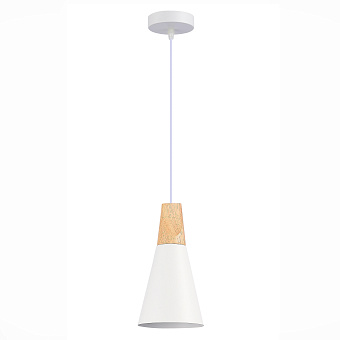 Светильник подвесной Evoluce MODICA SLE125153-01 40Вт E14