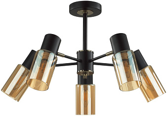 Люстра потолочная Lumion RONNIE 5644/5C 200Вт 5 лампочек E14