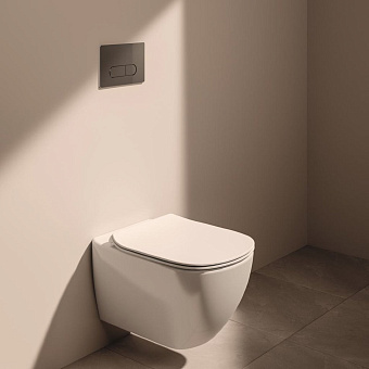 Панель смыва IDEAL STANDARD PROSYS OLEAS R0117AA хром
