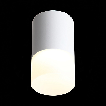 Светильник точечный накладной ST Luce OTTU ST100.542.05 5Вт LED