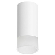 Светильник настенно-потолочный Lightstar Rullo R43631 50Вт GU10
