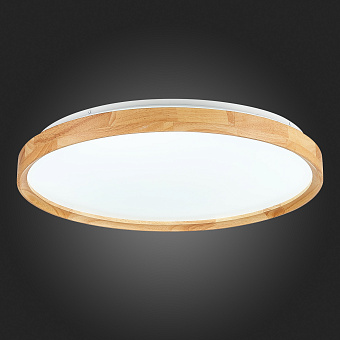 Светильник потолочный Evoluce DELIA SLE201382-01 40Вт LED