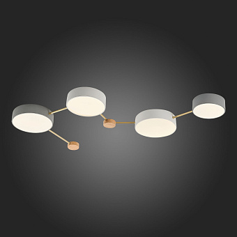 Светильник потолочный Evoluce DOSSENA SLE600102-04 66Вт LED