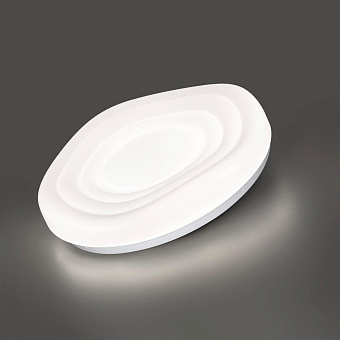 Светильник настенно-потолочный Sonex FASS 7679/DL 48Вт LED