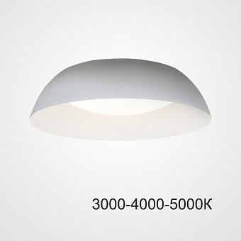 Светильник потолочный ImperiumLOFT Betsy 224028-23 24Вт LED
