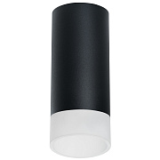 Светильник настенно-потолочный Lightstar Rullo R648781 50Вт GU10
