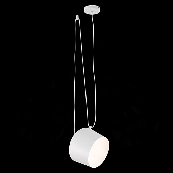 Светильник подвесной Evoluce TRIESTE SLE120653-01 40Вт E27