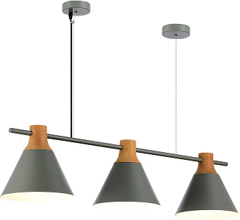 Светильник подвесной Evoluce MODICA SLE125113-03 120Вт E14