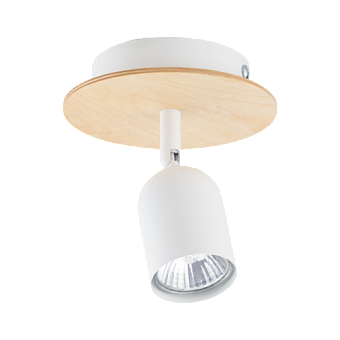 Светильник потолочный TK Lighting Top 3294 50Вт GU10