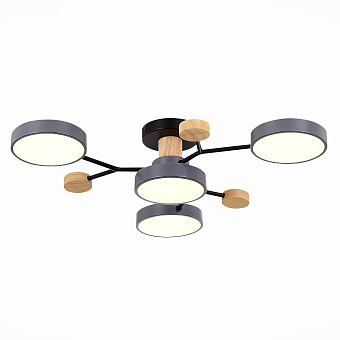 Светильник потолочный Evoluce FAEMA SLE6006-702-04 48Вт LED