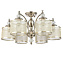 Люстра потолочная ST Luce CORESIA SL1750.102.06 240Вт 6 лампочек E14
