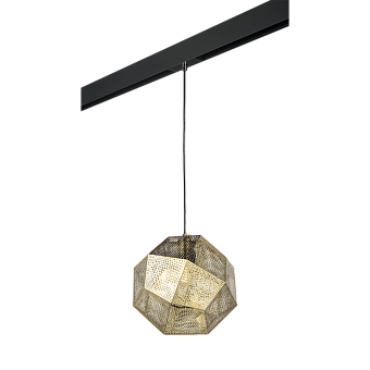 Трековый светильник Lightstar Fermo PRO724112 40Вт E27 золото для однофазного трека