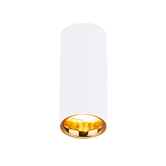 Светильник точечный накладной Elektrostandard a040669 DLR030 12Вт LED