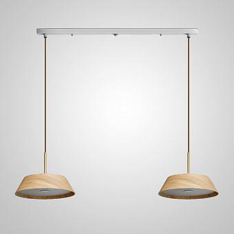 Светильник подвесной ImperiumLOFT Benoni 229261-23 50Вт LED