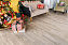 Виниловый ламинат Alpine Floor Лавр ЕСО 11-401 1220х183х3,5мм 34 класс 2,23кв.м