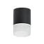 Светильник настенно-потолочный Lightstar Rullo R348781 15Вт GX 5.3
