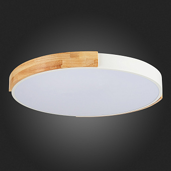 Светильник потолочный Evoluce DELIA SLE201352-01 40Вт LED