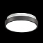 Светильник настенно-потолочный Sonex SMALLI SN 035 12Вт LED