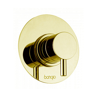 Смеситель для душа Bongio ON 68524HMPREU золото